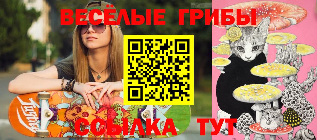 Магнитогорск  Галлюциногенные грибы Cubensis  Вход с VPN 